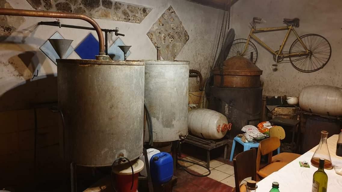 布鲁纳住宿加早餐旅馆 希贝尼克 外观 照片